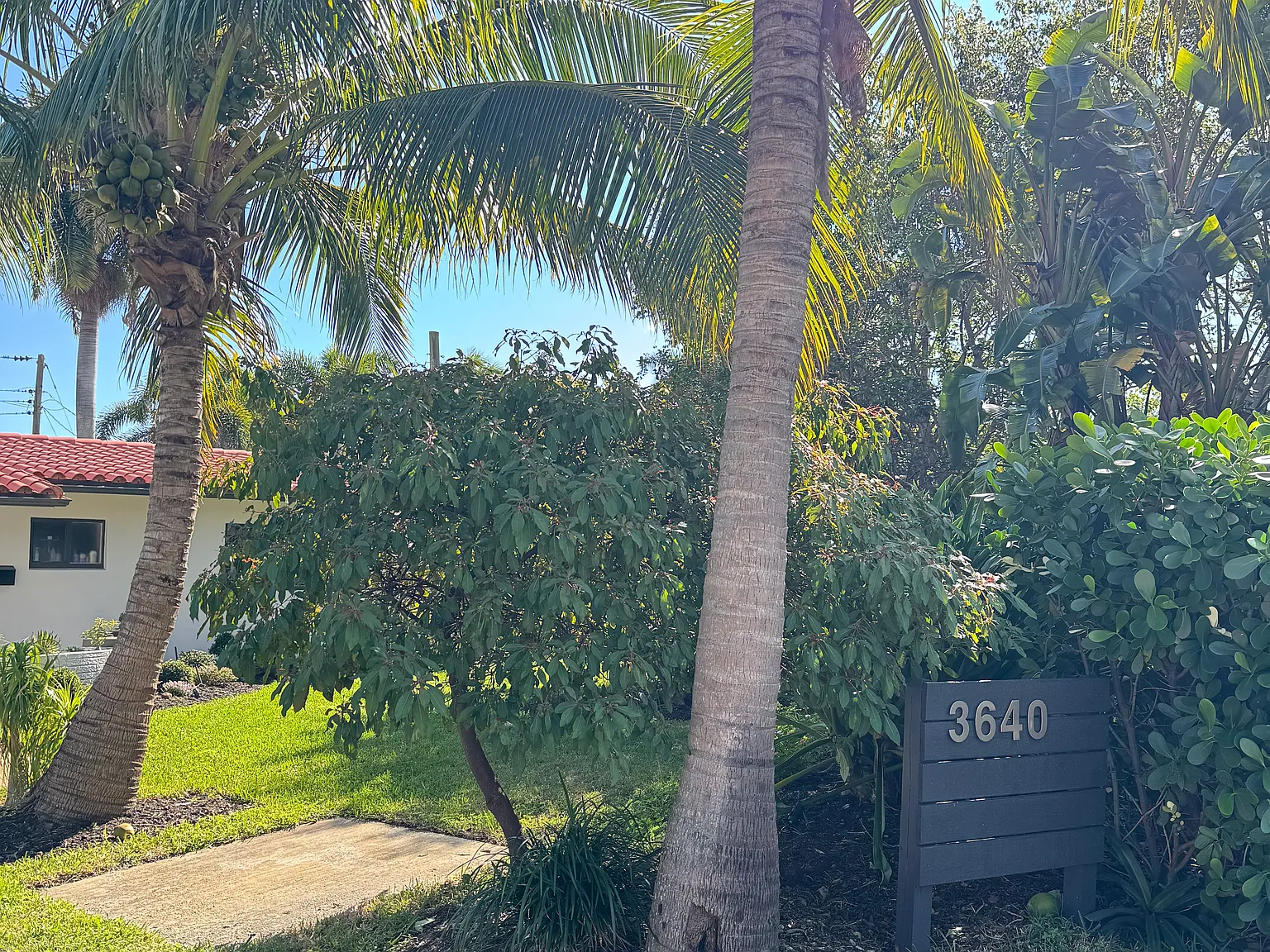 3 bed, 1357 sqft, $3,900 — Photo 2