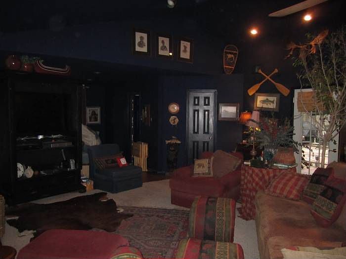 living/den/vaulted ceilin