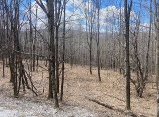 165 Falcon Loop W, Rochester, VT 05767