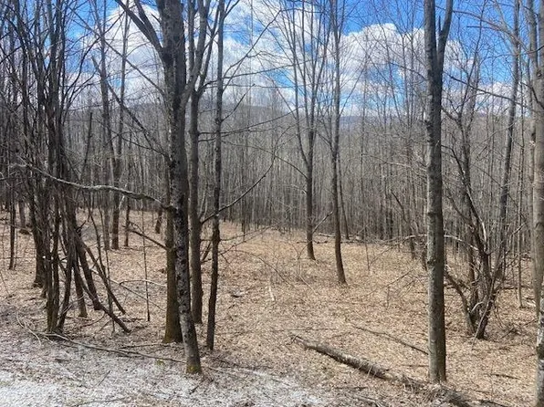 165 Falcon Loop West, Rochester, VT 05767
