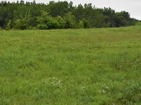 Joy Ln, Lexington, TN 38351