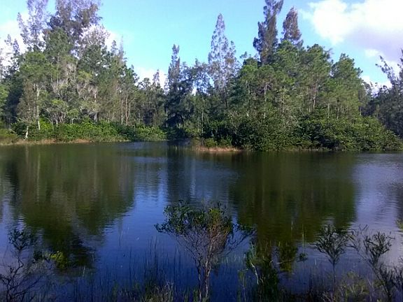 2 Acre Lake with Island