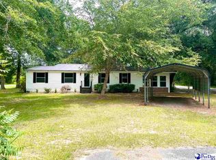 46 Harrelson St, Kingstree, SC 29556