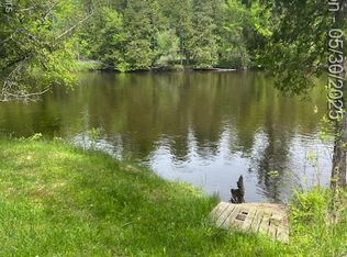 4148 Blue Vista Dr, Evart, MI 49631