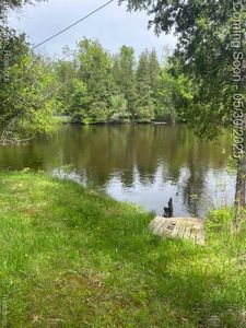 4148 Blue Vista Dr, Evart, MI, 49631