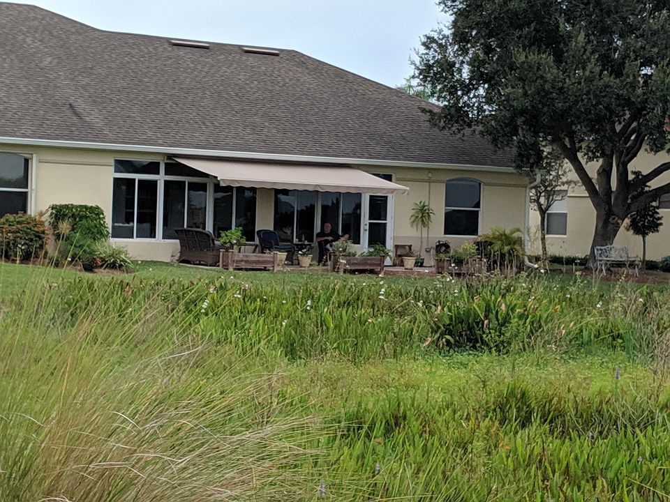View from the back house
