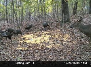 0 County Road 6061, Flippin, AR 72634