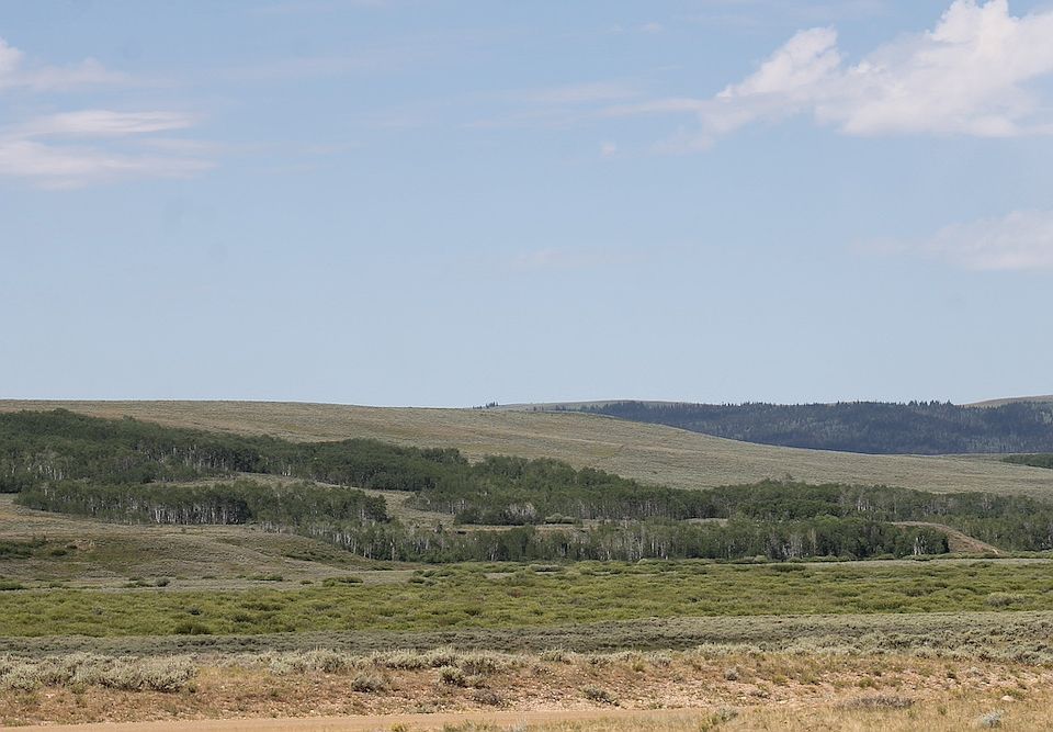 1st image of County Road 305