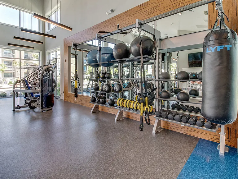 The 24-hour premier fitness center features free weights and cardio equipment