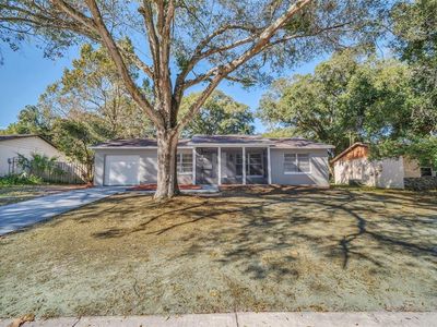 1904 Lady Ave, Ocoee, FL, 34761
