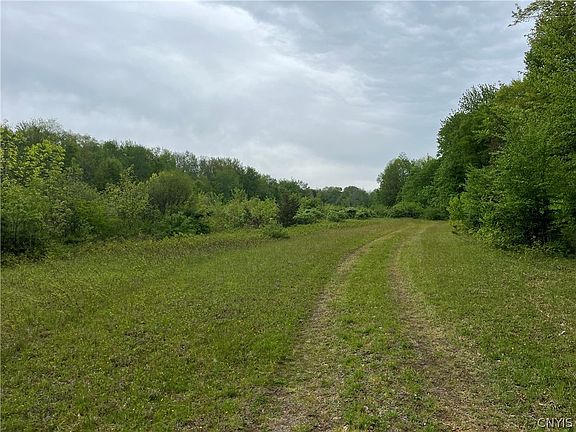 3rd image of Hong Kong Rd Lot 21