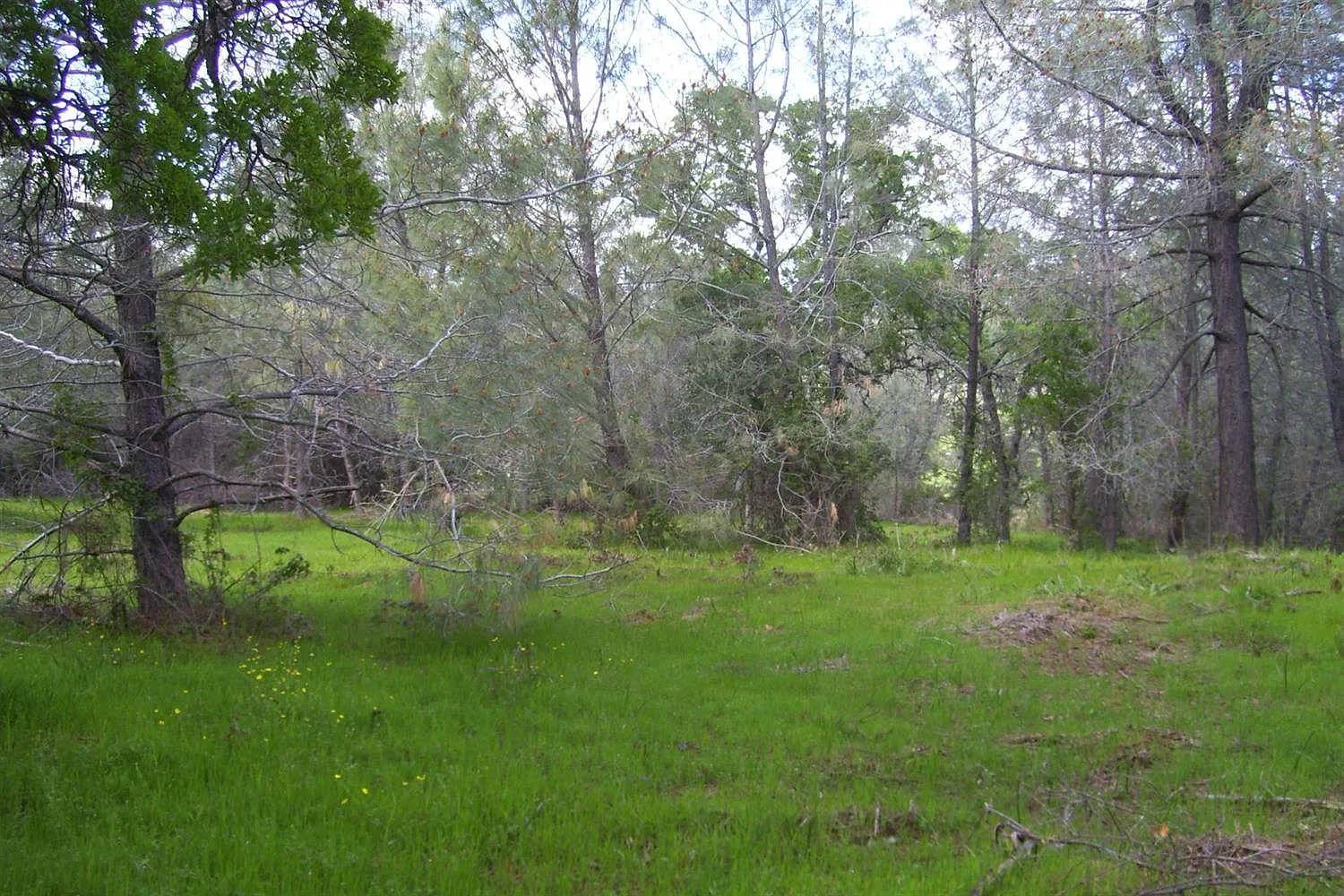10625 Melody Rd photo 1