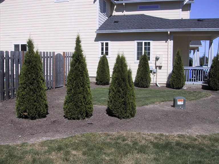 side yard