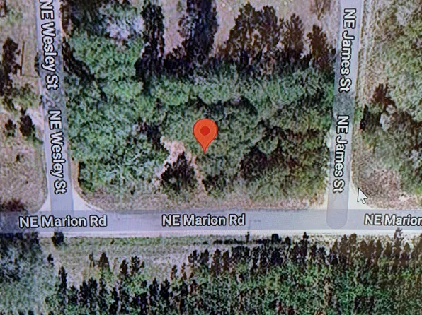 0 NE Marion Road, Mayo, FL 32066