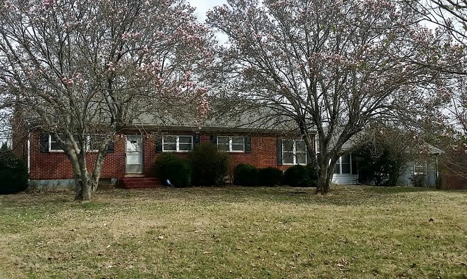Rock Lilly road side