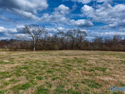 County Road 656, Anderson, AL, 35610