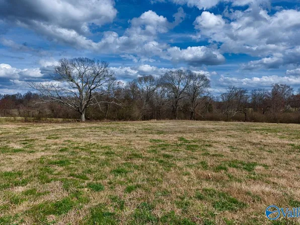 County Road 656, Anderson, AL 35610
