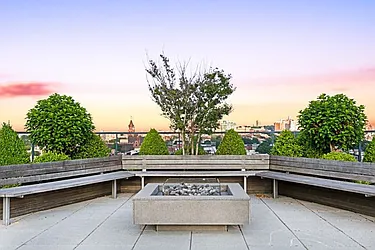 Rented by Bold New York