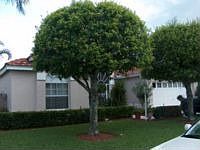 1st image of 4950 Elsworth Way