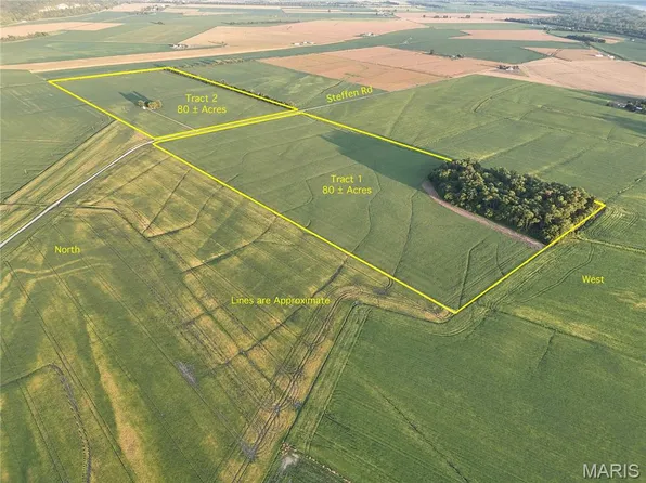 TRACT One 2806 Steffen Rd, Fults, IL 62244