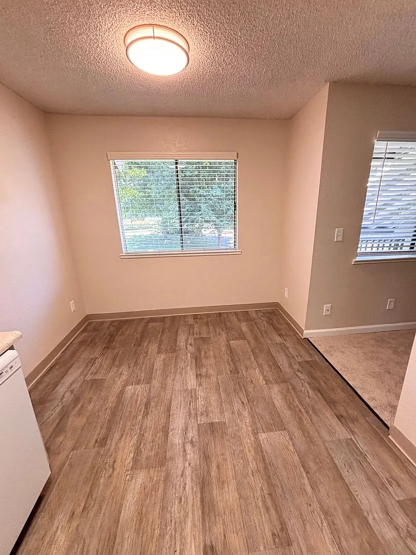 Olive Glen — Photo 4