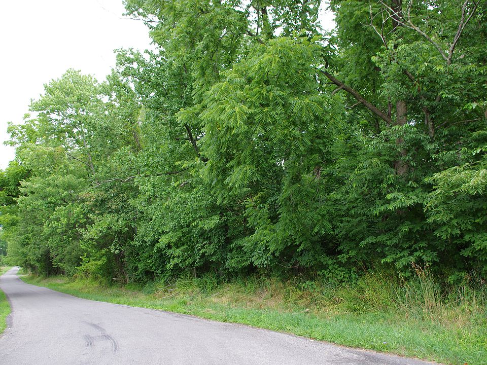 Looking N, Mountain Rd