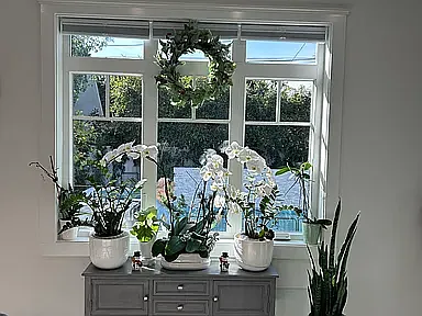Kitchen window