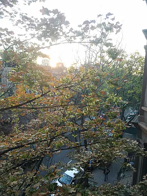 Rented by Harriet Brand, LREB | media 61