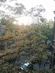 Rented by Harriet Brand, LREB