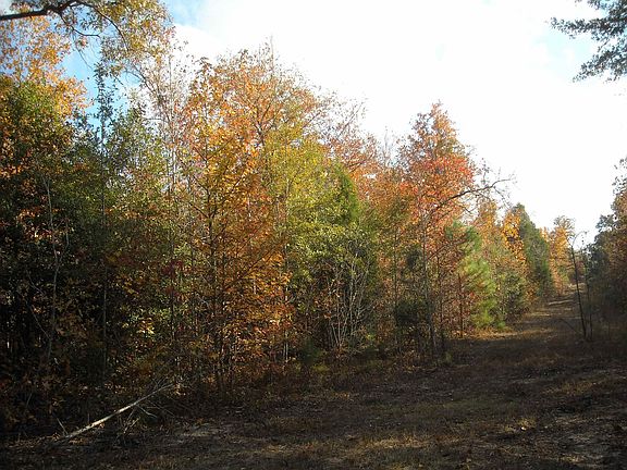 5th image of N State Highway 322