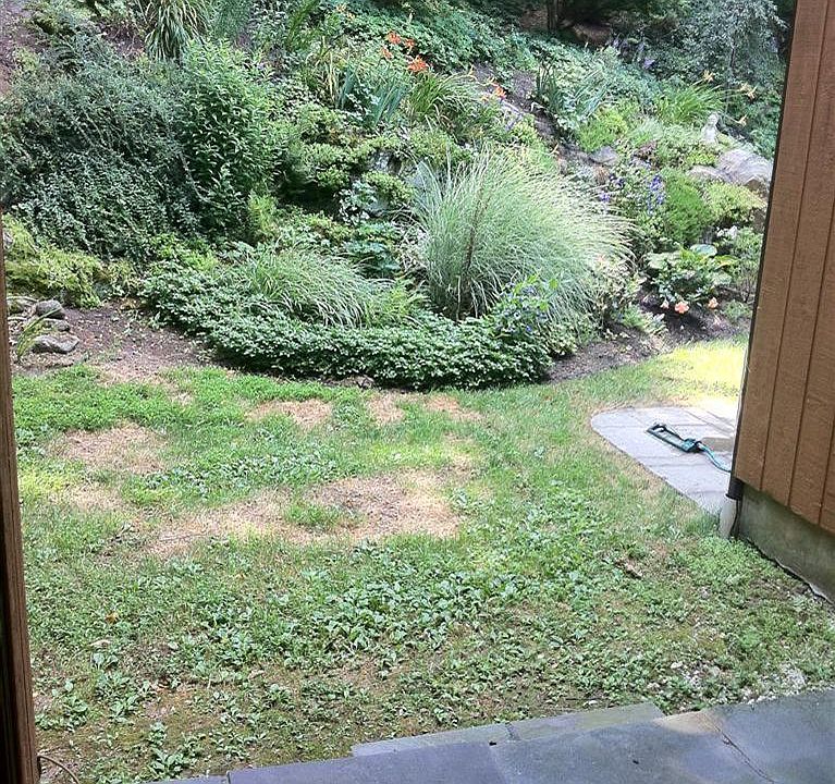 2nd image of 44 Amber Dr