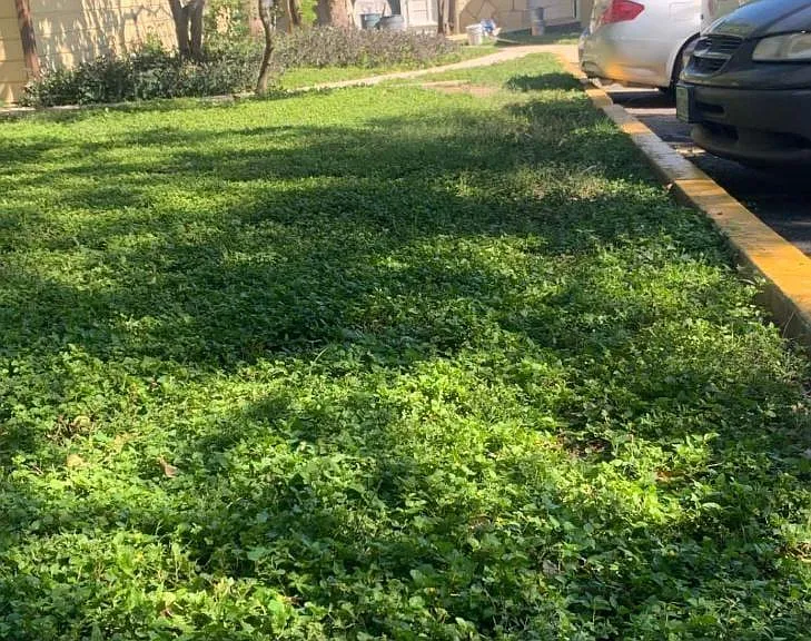 6641 San Pedro Ave — Photo 12