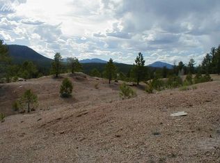 89 Reed Dr, Florissant, CO 80816