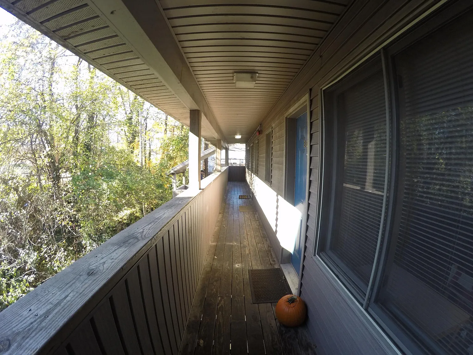 5 Fern St — Photo 3