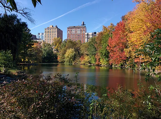 Rented by Corcoran | media 1