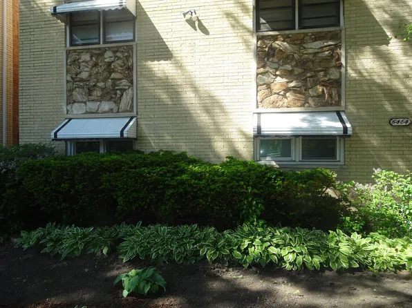 5464 W Higgins Ave APT 1S, Chicago, IL 60630