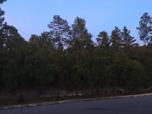 3rd image of 445 Morganwood Drive LOT 41 PH3B (7741)