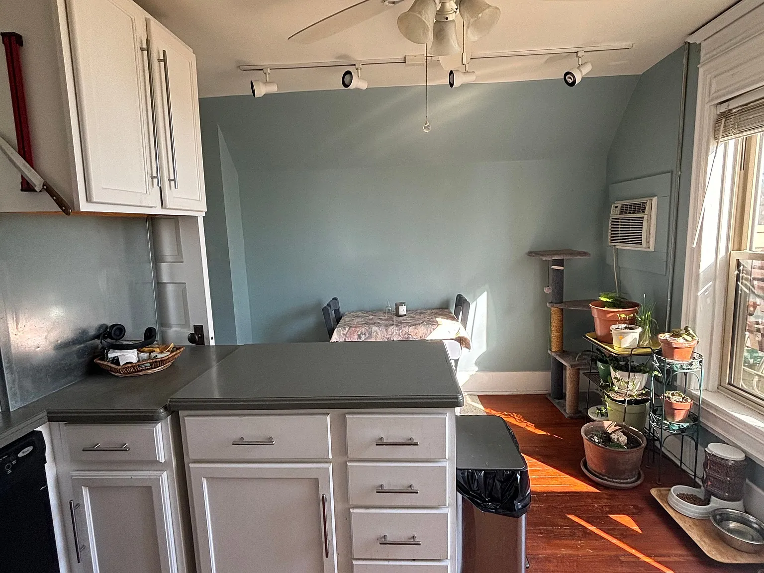 1 bed, 1.0 bath, 500 sqft, $1,025 — Photo 3