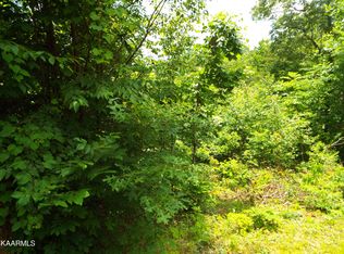 Vixen Run, Gatlinburg, TN 37738