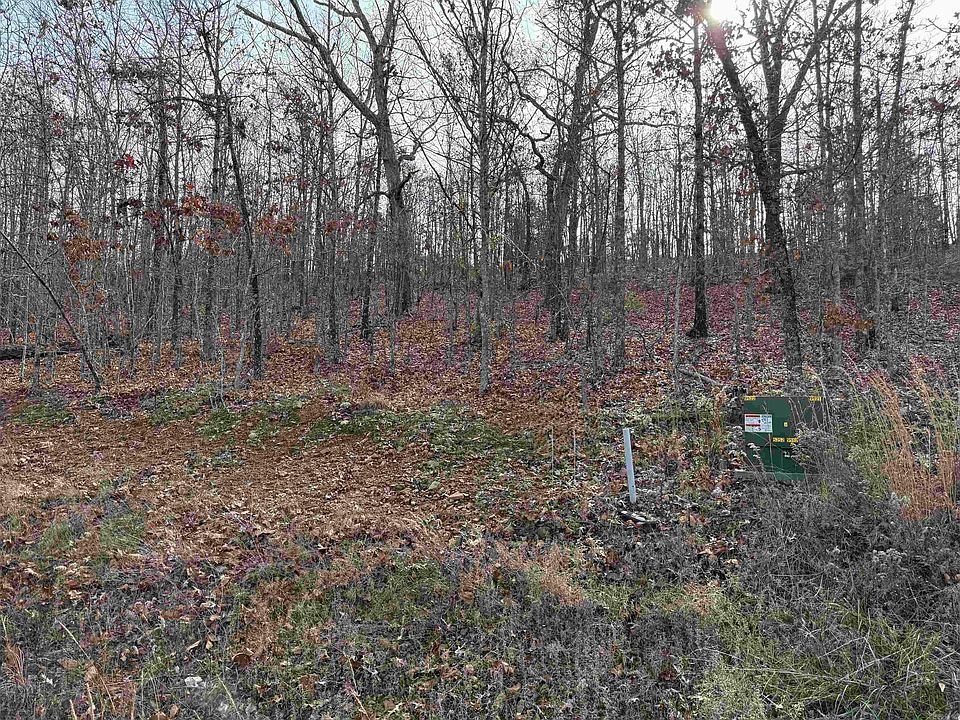 2nd image of TRACT 91 Vernon Court Rd