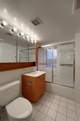 Rented by Manhattan Skyline | media 5