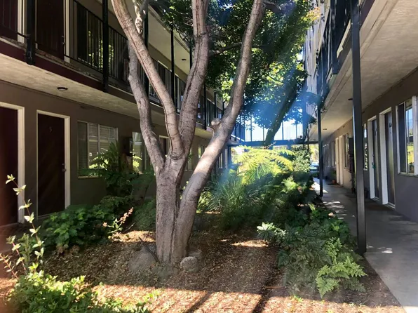 Claremont Park Apartments, 5248 Claremont Ave APT 35A, Oakland, CA 94618