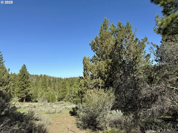 Drews Gap Rd #Tl-1300, Lakeview, OR 97630