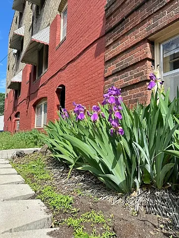 Lincoln Court — Photo 18