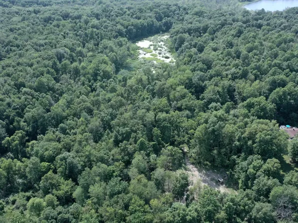 15620 W Clear Lake Rd, Buchanan, MI 49107