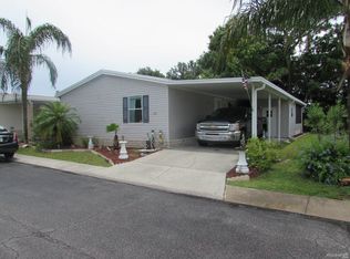 10719 El Toro Dr, Riverview, FL 33569
