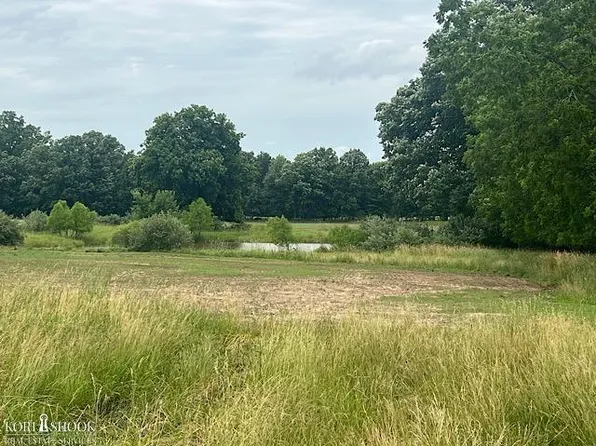 Garrison Rd, Laingsburg, MI 48848