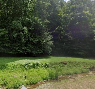 Lick Log Rd, Grundy, VA, 24614