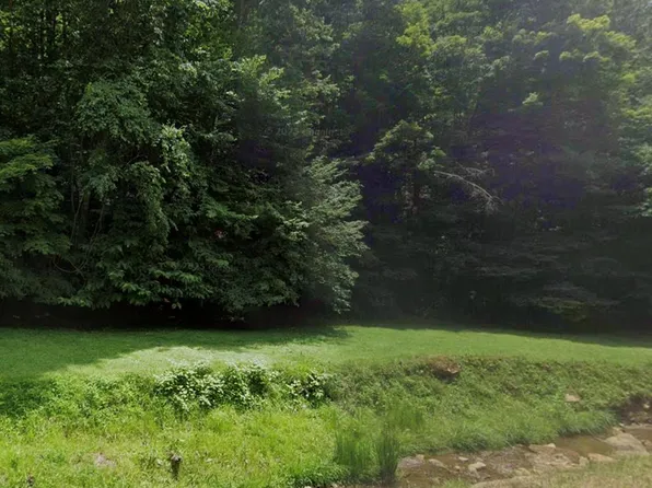 Lick Log Rd, Grundy, VA 24614