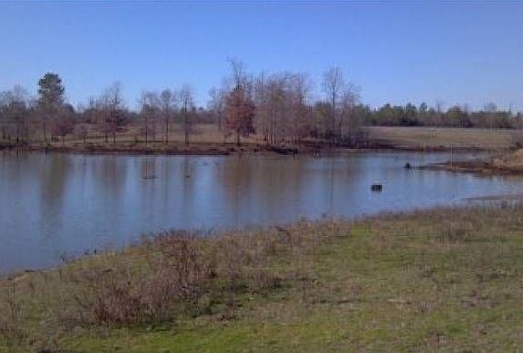 3 - 4 acre pond